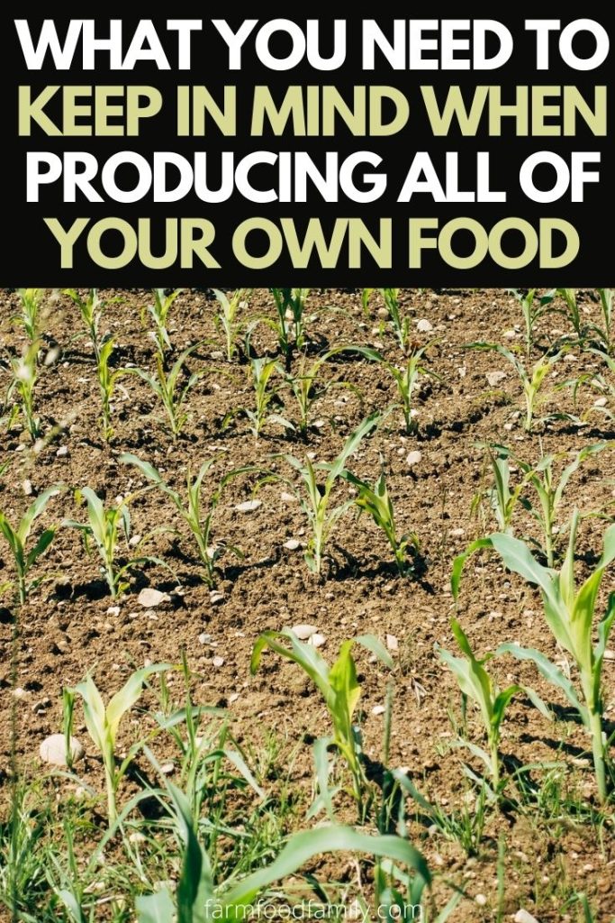 what you need when producing own food