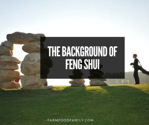 background of feng shui