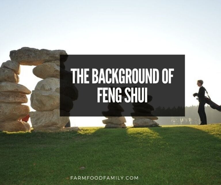 The Background of Feng Shui: The Chinese Philosophy Used To Explain The Energies Around Us