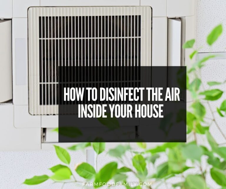 How to Disinfect the Air Inside Your House