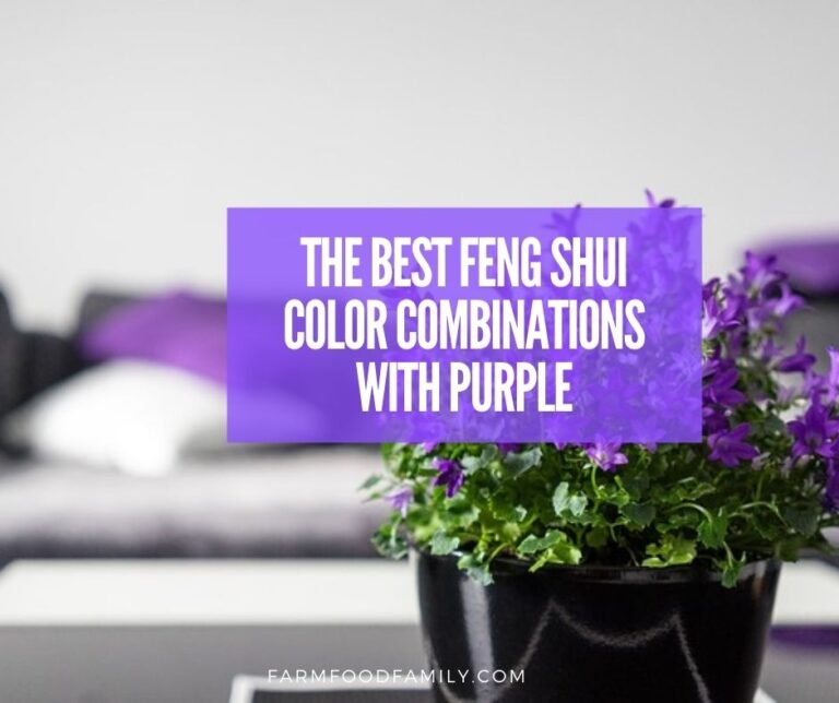 The Best Feng Shui Color Combinations with Purple