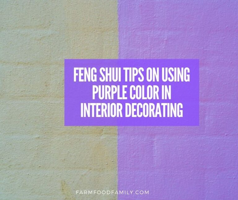 Feng Shui Tips on Using Purple Color in Interior Decorating