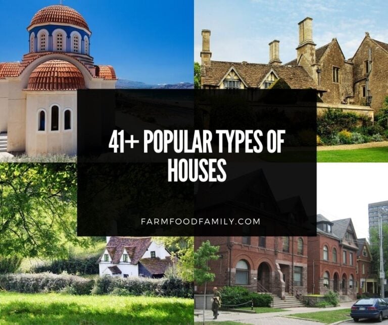 41+ Popular Types Of Houses With Names and Photos