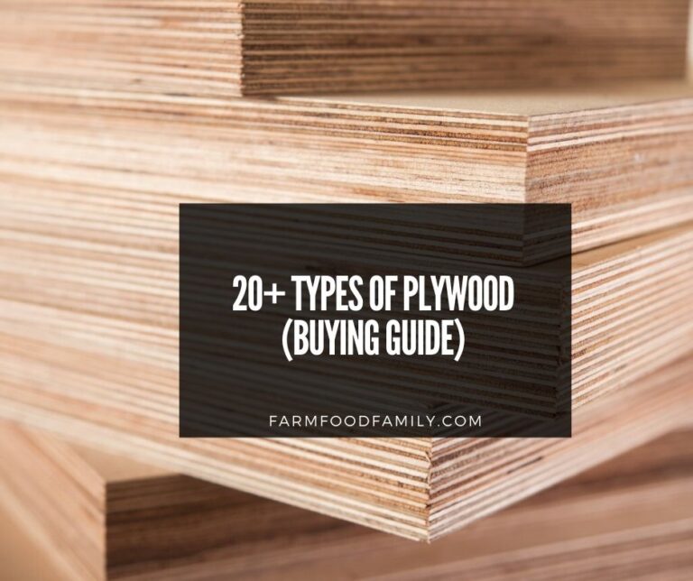 20 Types Of Plywood and Grades Used In Interior and Exterior (With Pictures)