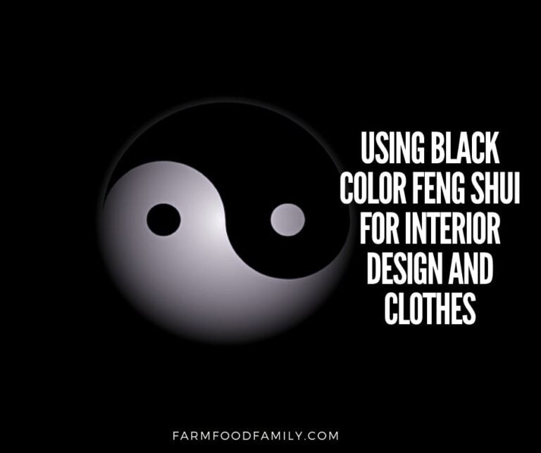 Black Color Feng Shui for Interior Design and Clothes