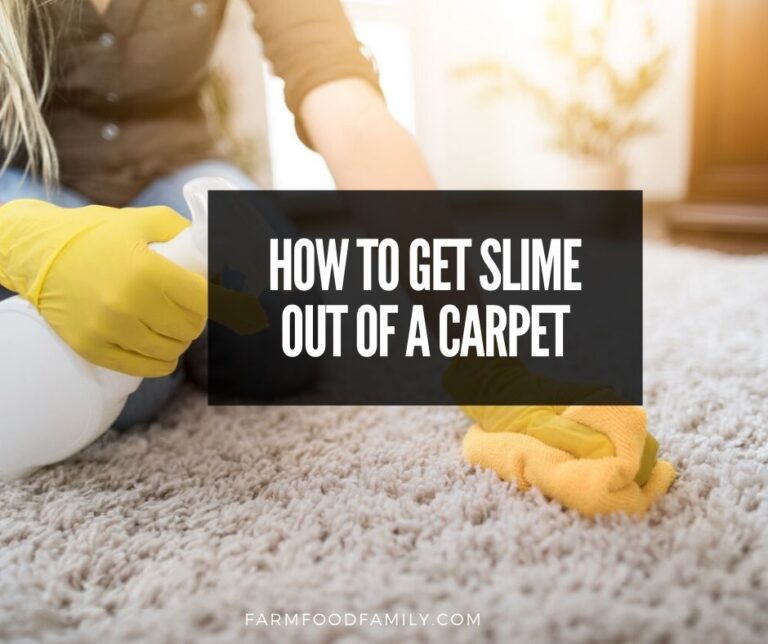 How To Get Slime Out Of A Carpet
