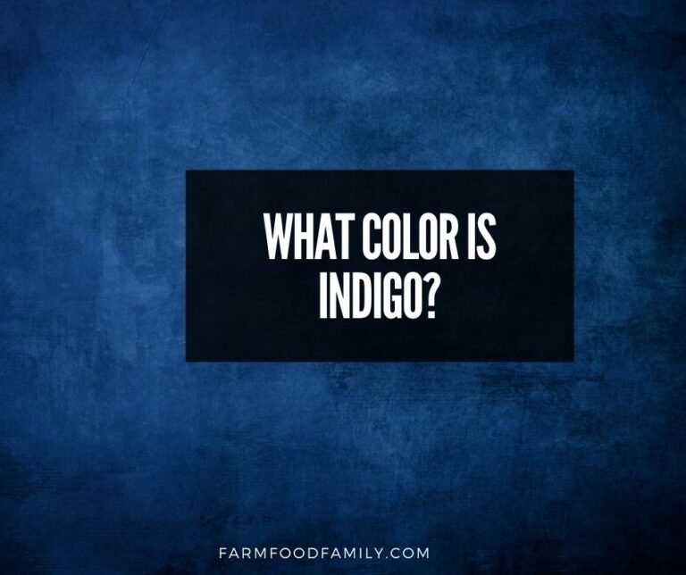 What Color Is Indigo?