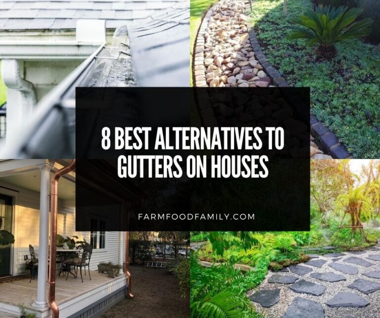 8 Gutter Downspout Alternatives (Pros and Cons)