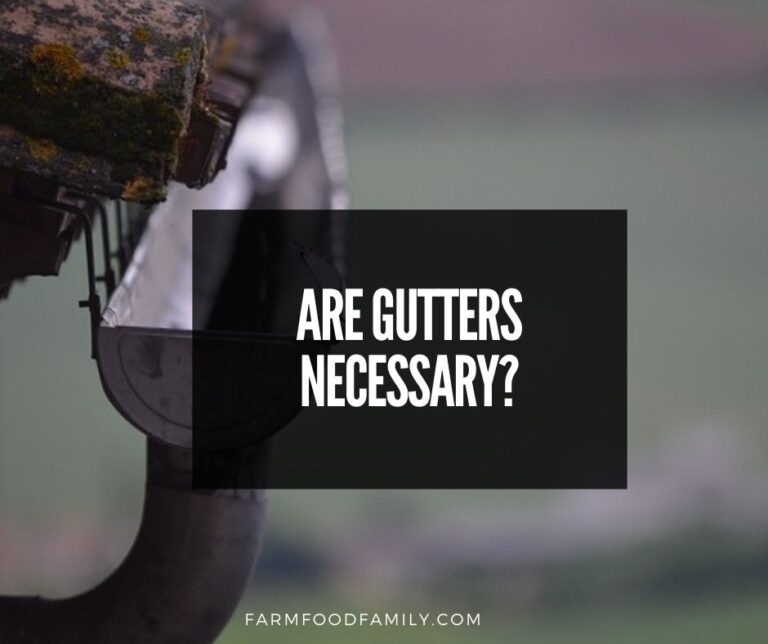 Gutters 101: Purpose of Gutters – Are Gutters Necessary?