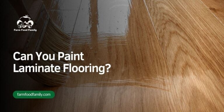 Can You Paint Laminate Flooring?