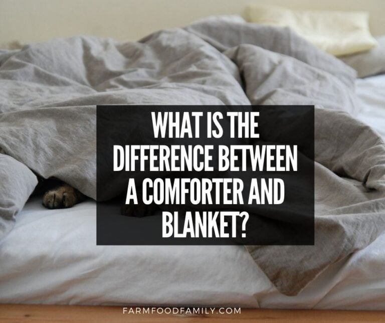 What Is the Difference Between a Comforter and Blanket?