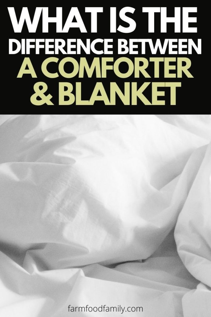 difference between comforter blanket