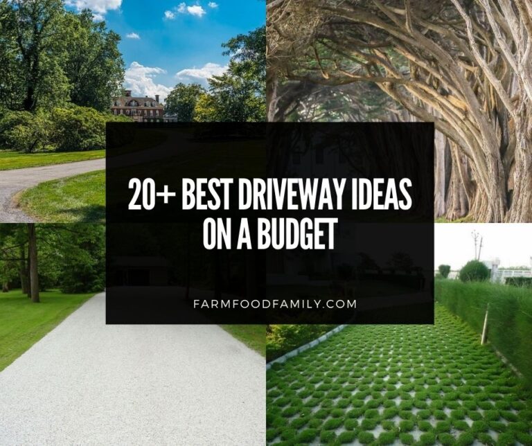 20+ Best Driveway Ideas On A Budget