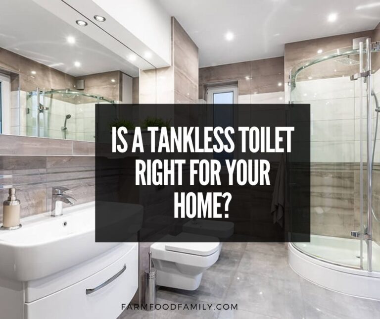 Is a Tankless Toilet Right for your Home? – Price, Pros and Cons, Problems, Installation