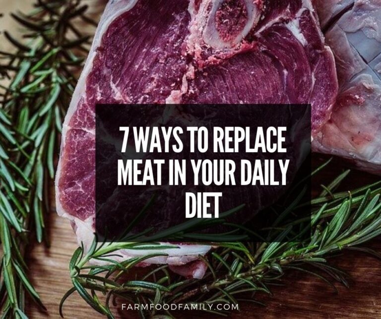 7 Ways to Replace Meat in Your Daily Diet