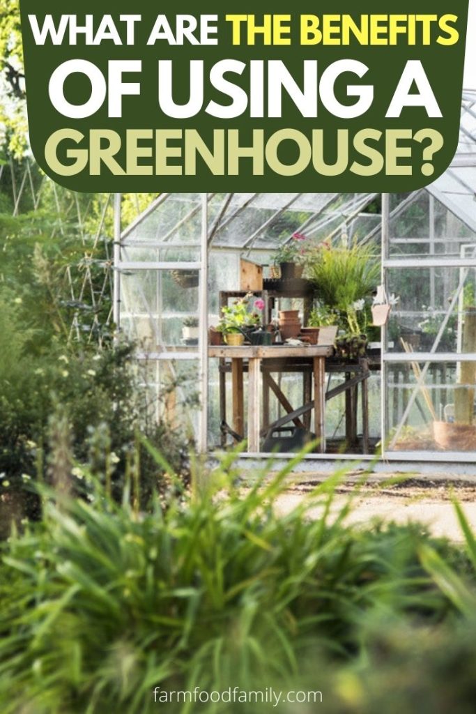 what are the benefits of greenhouse