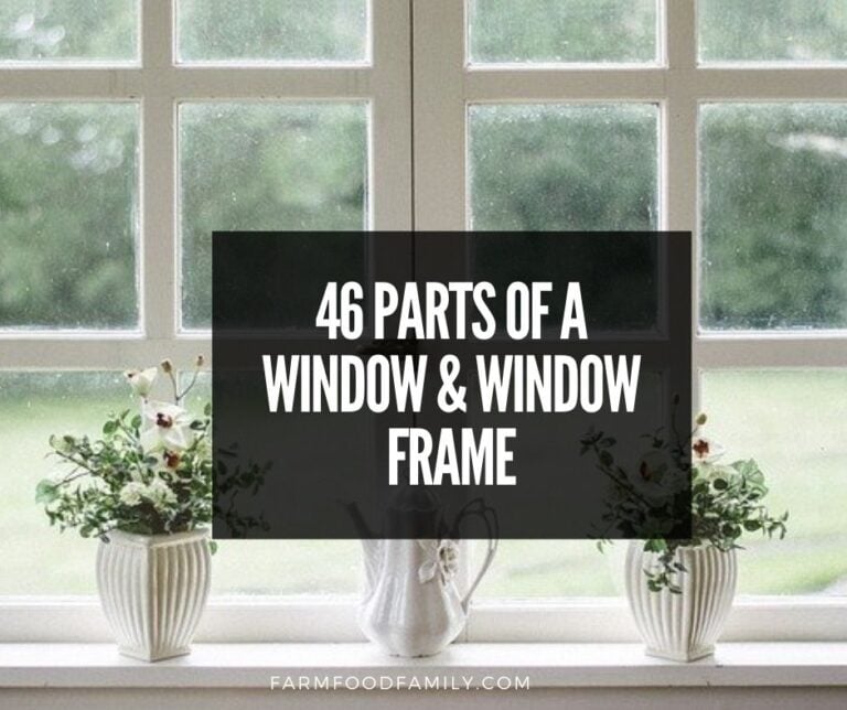 46 Different Parts of a Window and Window Frame