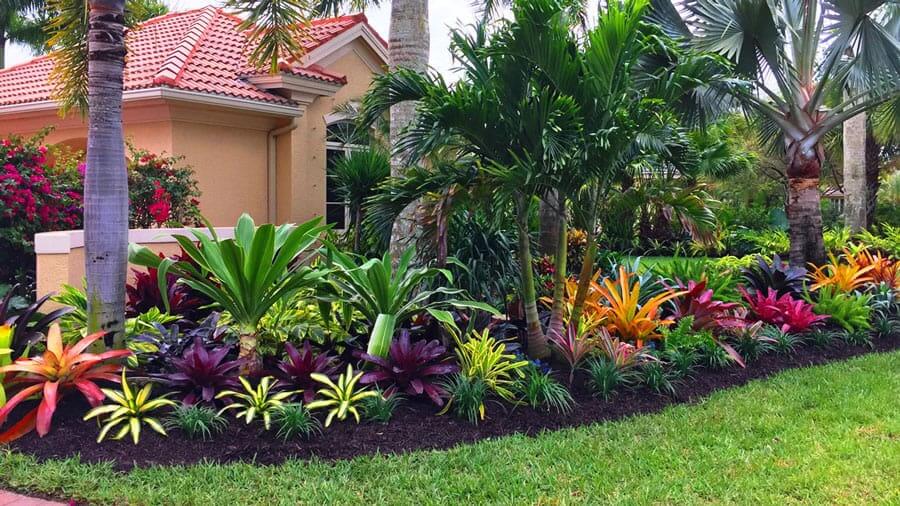 Consider Colorful Greenery