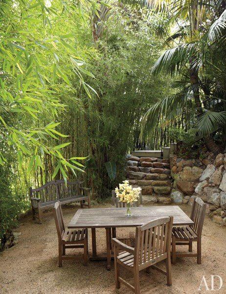 Cultive bambú en su patio trasero