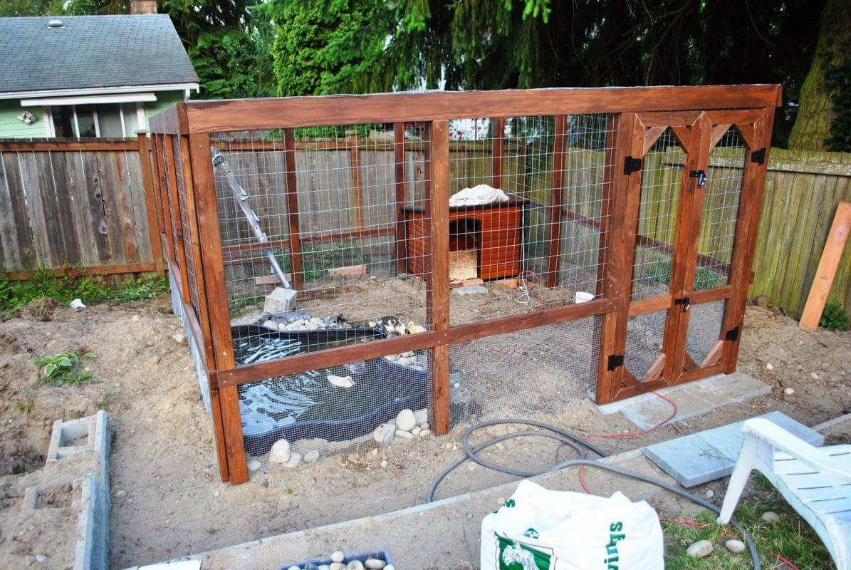 Ever Thought of A Pond On Duck Coop?