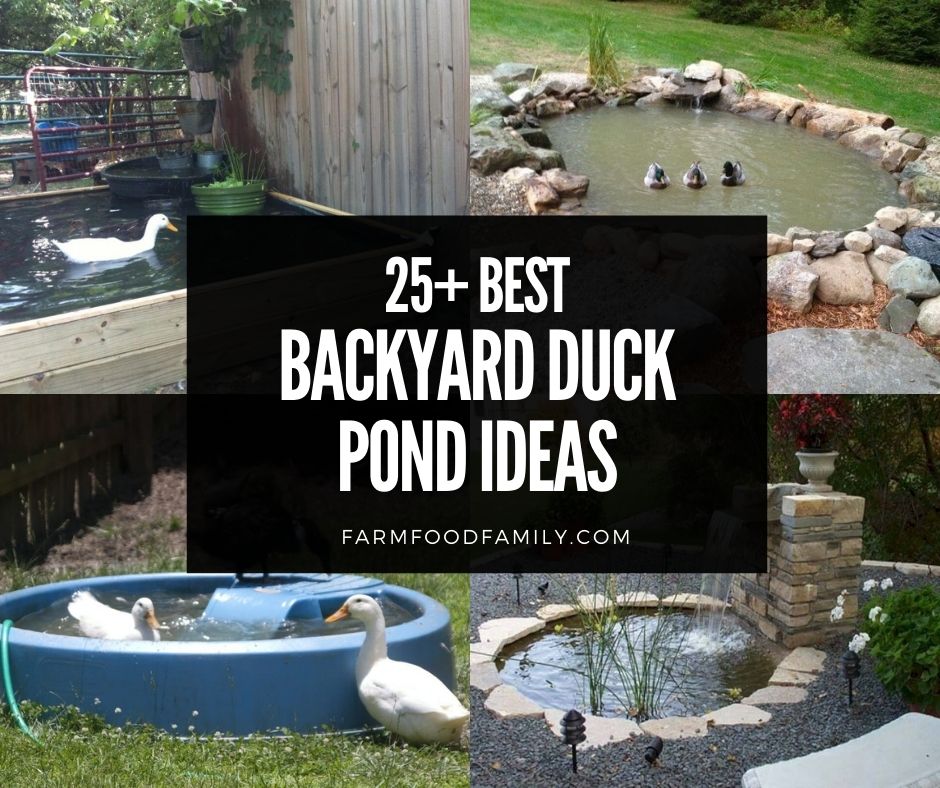25 Awesome Diy Backyard Duck Pond Ideas Designs For 2022 - Diy Water Feature Pond Ideas