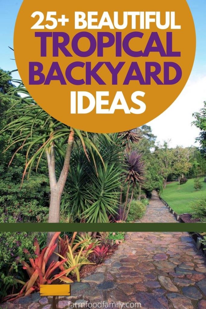 best tropical backyard ideas