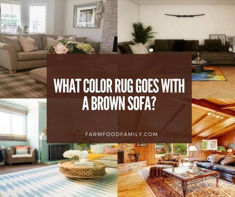 What Color Rug Goes Well With a Brown Sofa?