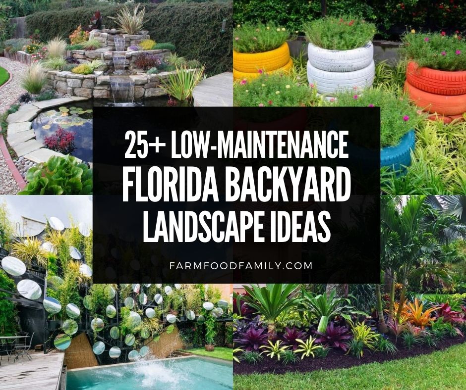 Florida Backyard Landscape Ideas, How To Landscape My Backyard On A Budget