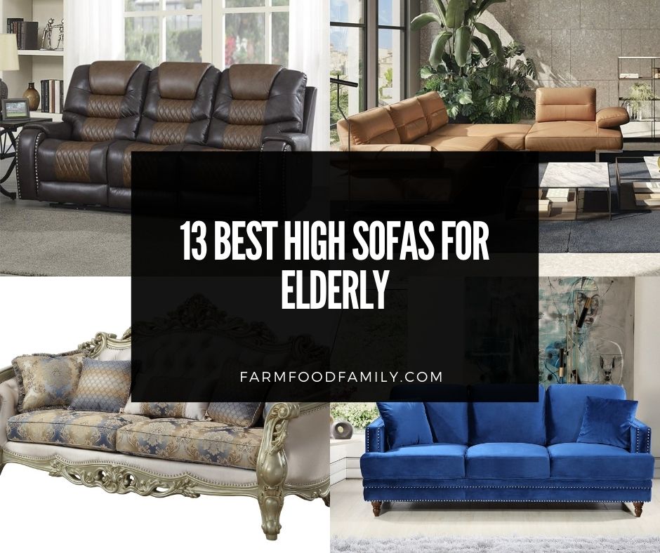 13 Perfect High Sofas For Elderly 2021, Best Sleeper Sofa For Elderly