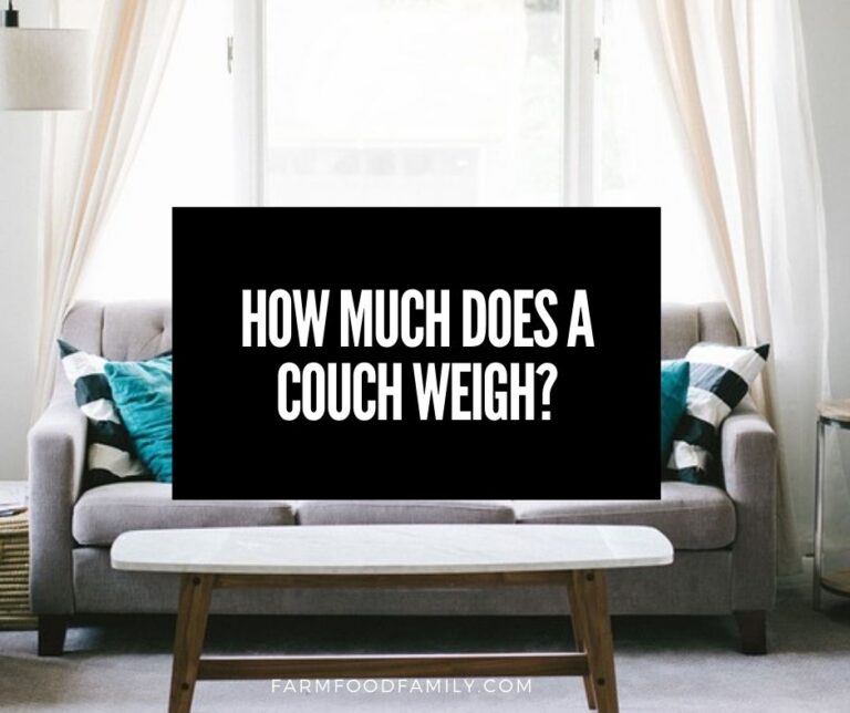 How Much Does a Couch Weigh?