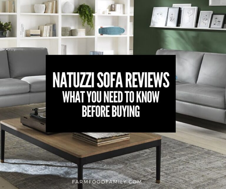 Natuzzi Sofa Reviews: Quality, Price, Durability, Pros and Cons