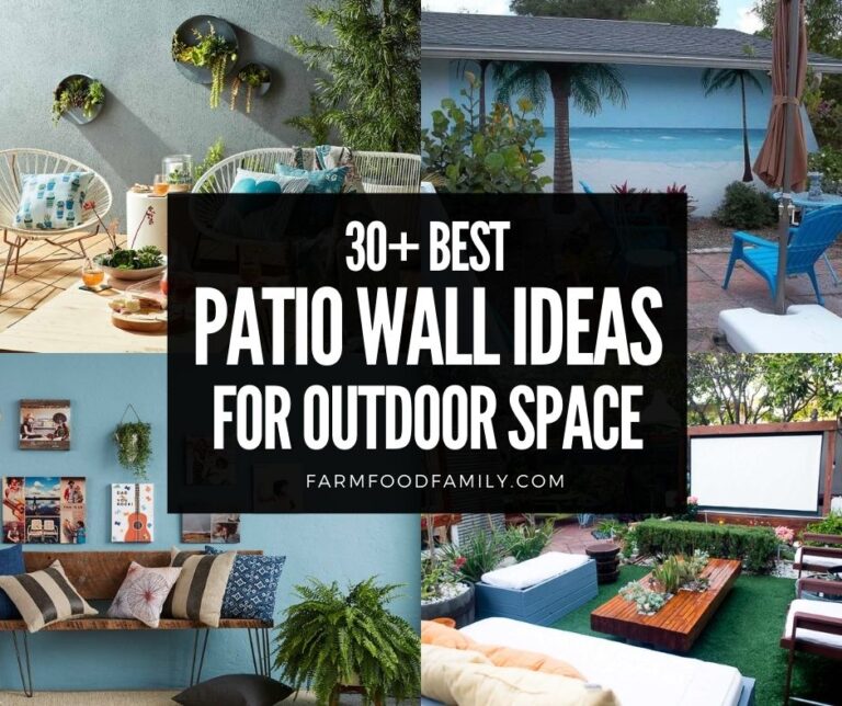 30+ Best Patio Wall Ideas and Designs