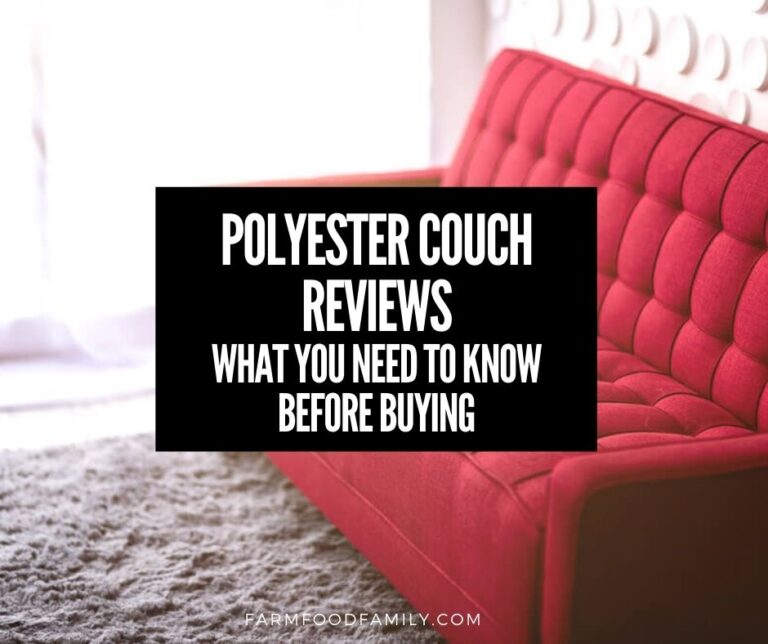 Polyester Couch Reviews: Pros and Cons, Durability, Best Brands