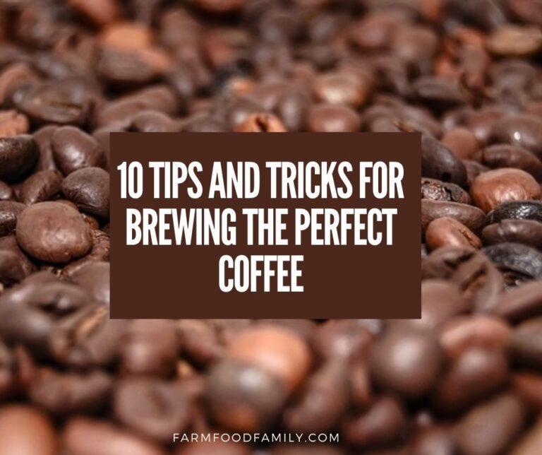10 Tips and Tricks for Brewing the Perfect Coffee