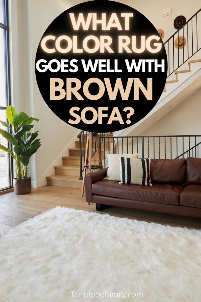 What Color Rug Goes Well With A Brown, What Colour Carpet Goes With Dark Brown Sofa