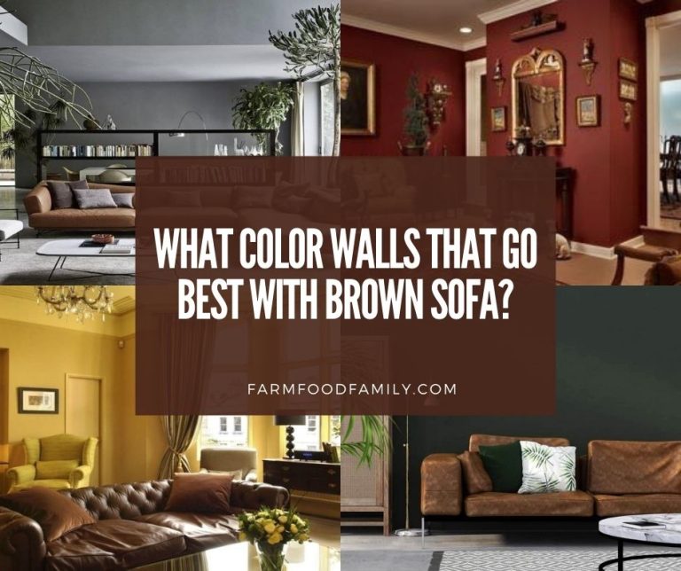 What Color Walls That Go Best with Brown Sofa? [30 Ideas With Photos]