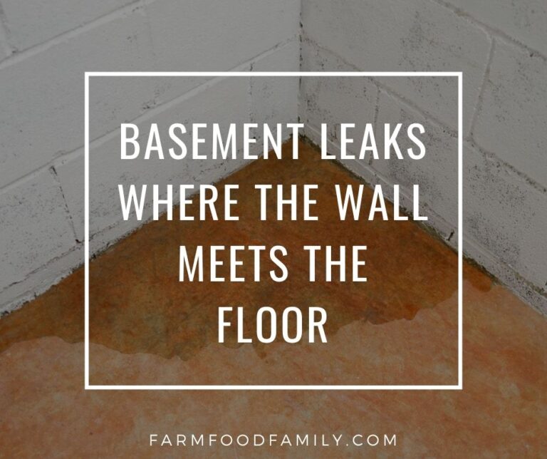 Basement Leaks Where The Wall Meets The Floor