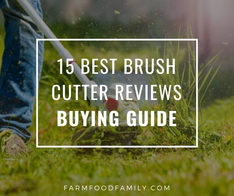 19 Best Brush Cutter Reviews – Buying Guide