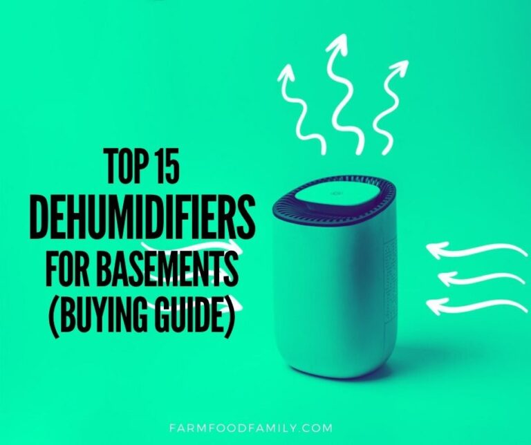 16 Best Dehumidifiers For Basements in 2026 – Buying Guide