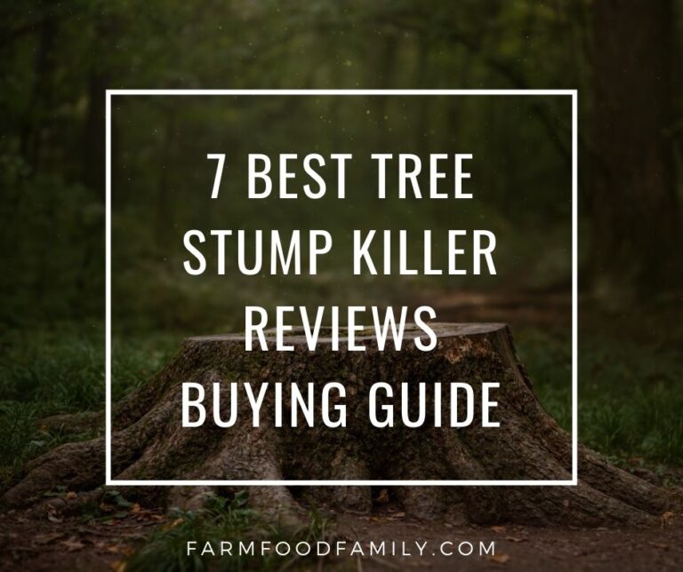 7 Best Tree Stump Killer Reviews and Buying Guide