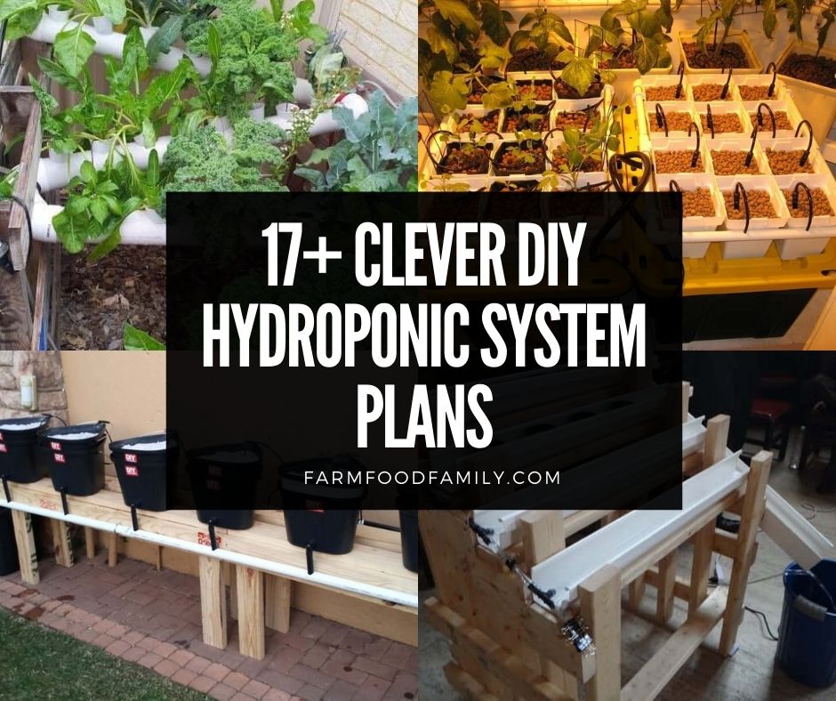 17 Clever Diy Hydroponic System Plans Designs For Beginners 2022