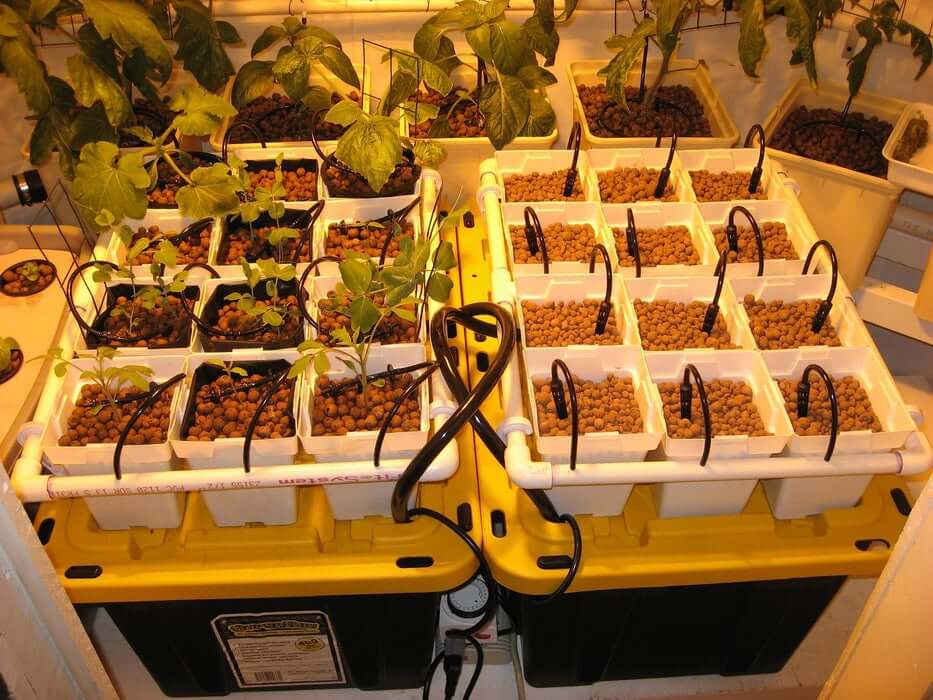 hydroponic drip garden for vegetables