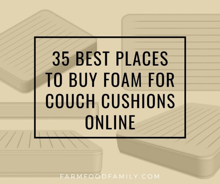 35 Best Places To Buy Foam for Couch Cushions Online