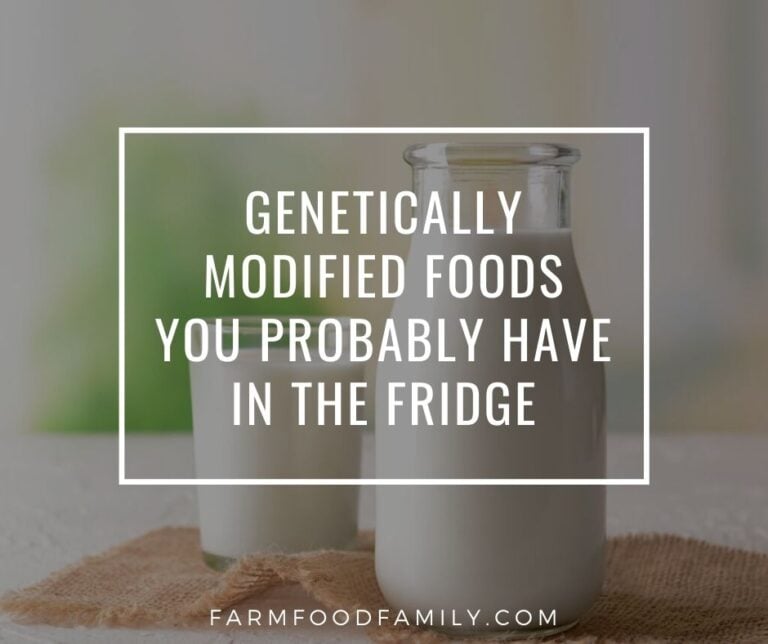 The List of Genetically Modified Foods You Probably Have in The Fridge