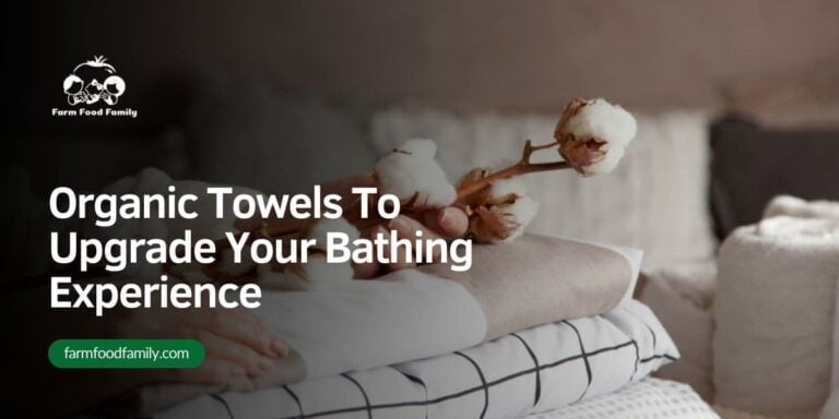 Organic Towels To Upgrade Your Bathing Experience