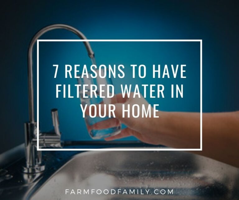 7 Reasons To Have Filtered Water In Your Home