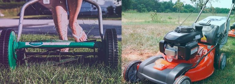 Rotary Vs. Reel Lawnmowers – Which is better?