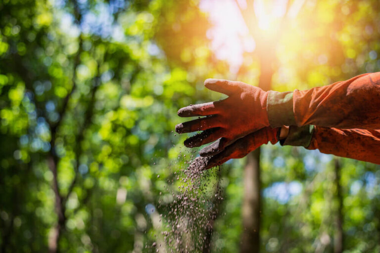 How Gardening Helps You Be More Productive