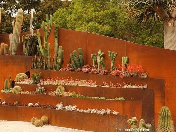22 raised succulent bed las vegas backyard ideas