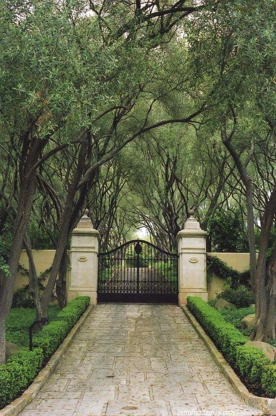 30 Simple Driveway Gate Ideas, Entry Gate Landscaping Ideas
